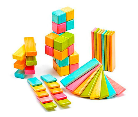 common shapes of Tegu Blocks